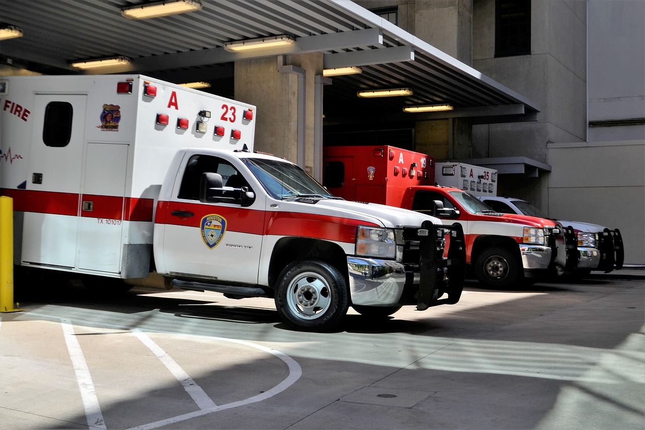 prevent-tree-injuries-springfield-va-exp-640x480-xe7bdm